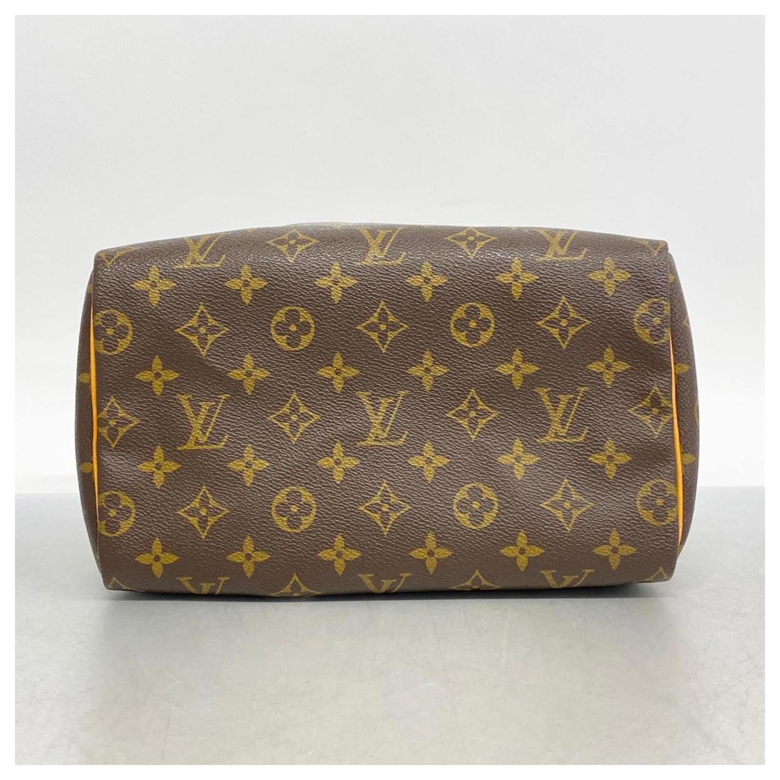 Louis Vuitton Monogram Speedy 25